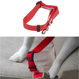 Pet Seat Belt