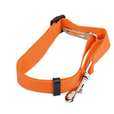 Pet Seat Belt