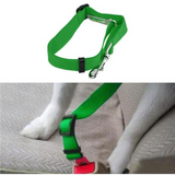 Pet Seat Belt