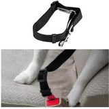 Pet Seat Belt
