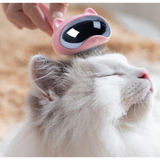 Cat Shaped Cat Hair Removing Brush