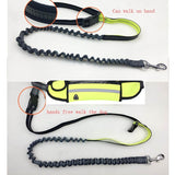 Hands Free Dog Lead / Dog Walking Leash