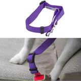 Pet Seat Belt