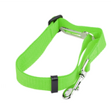 Pet Seat Belt