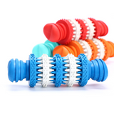 Bite-a-Stick Teeth Cleaning Toy for Dogs