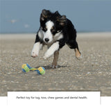 Dog Rope Toys at Store Paws