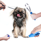 Stainless Steel 4pcs Pet Grooming Kit at Store Paws