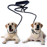 No Tangle Double Dog Lead/ Leash