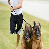 No Tangle Double Dog Lead/ Leash