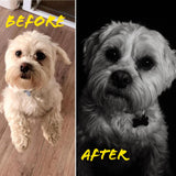 Custom Pet Portrait - Framed Print (5"x7") + Digital Copy