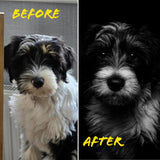 Custom Pet Portrait - Framed Print (5"x7") + Digital Copy