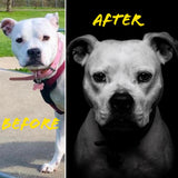 Custom Pet Portrait - Framed Print (5"x7") + Digital Copy