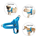 No-Pull Reflective Dog Harness