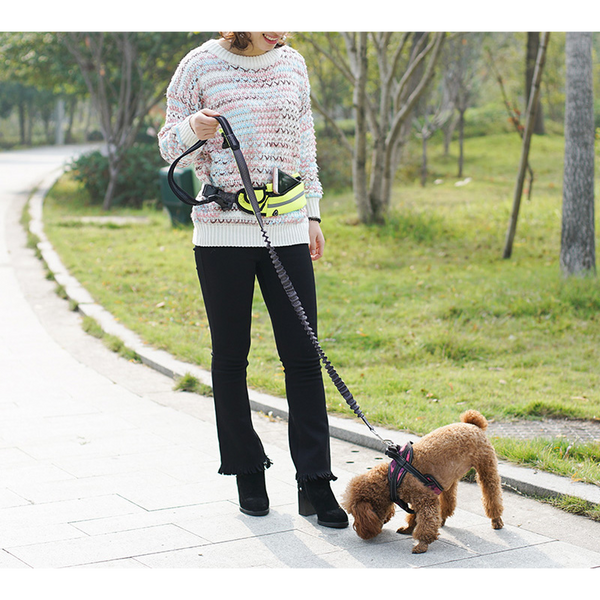 Best hands free clearance dog lead uk