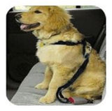 Dog Car Harness and Seat Belt - Small