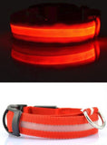 LED Light Pet Dog Safety Collar - Small